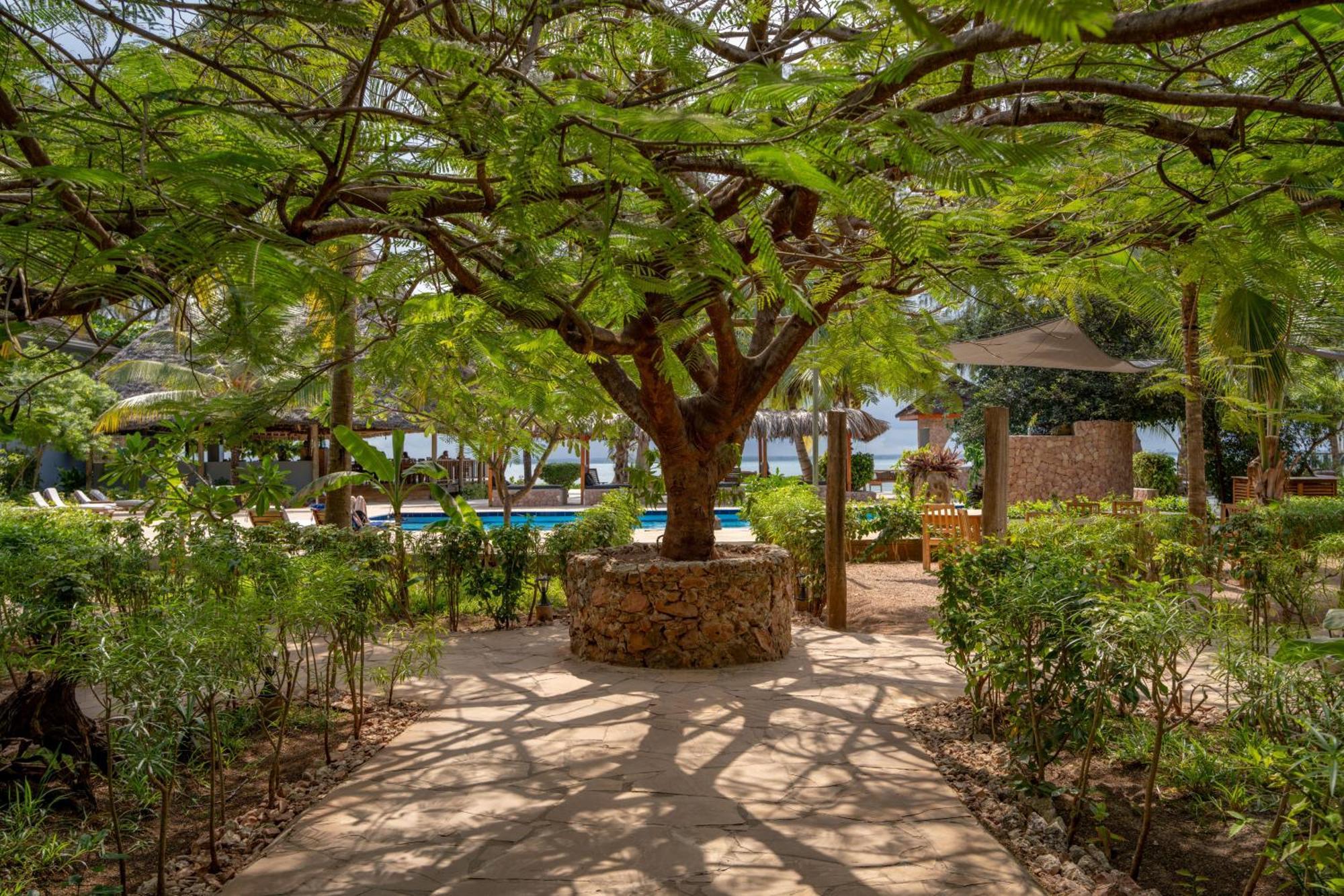 Michamvi Sunset Bay Hotel Luaran gambar